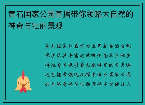 黄石国家公园直播带你领略大自然的神奇与壮丽景观