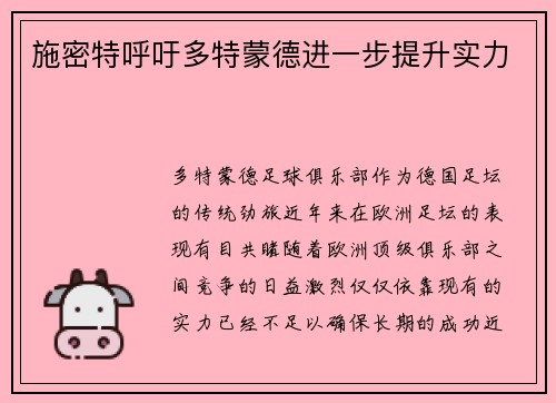 施密特呼吁多特蒙德进一步提升实力