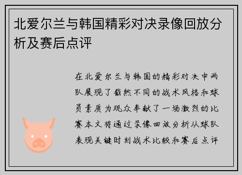 北爱尔兰与韩国精彩对决录像回放分析及赛后点评